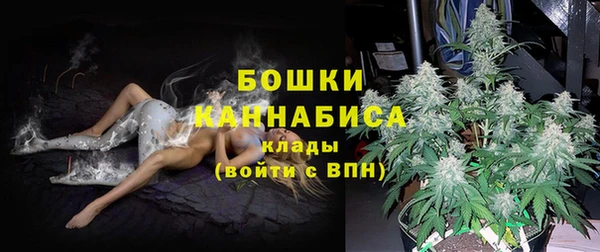 соль ск Гусиноозёрск