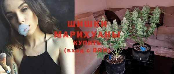 соль ск Гусиноозёрск