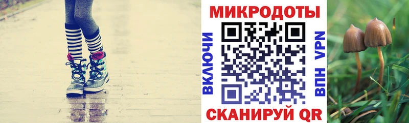 где найти наркотики Салават Галлюциногенные грибы Psilocybe